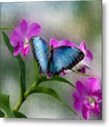 Blue Morpho With Orchids Metal Print