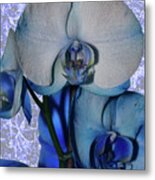 Blue Orchid 3 Texture Metal Print