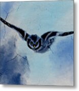 Blue Owl Metal Print