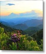 Blue Ridge Parkway And Rhododendron Metal Print