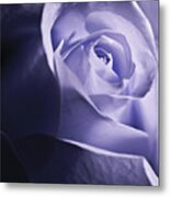 Blue Rose Metal Print