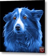 Blue Shetland Sheepdog Dog Art 9973 - Bb Metal Print