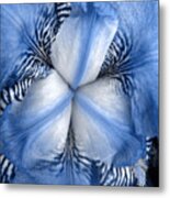 Blue Tiger Iris Metal Print