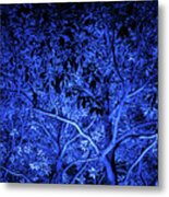 Blue Trees Metal Print