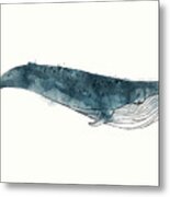 Blue Whale From Whales Chart Metal Print