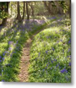 Bluebell Woodland Path With Dreamy Sunrise Metal Print