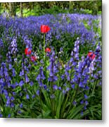 Bluebells And Tulips Metal Print
