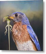 Bluebird With Lizard Metal Print