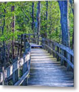 Boardwalk Going Into The Woods Metal Print