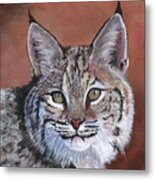 Bobcat Metal Print