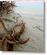 Bonanza Beach Driftwood Metal Print