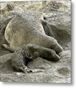 Bonding Metal Print