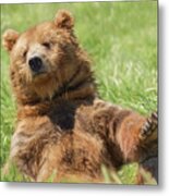 Boo Boo Bear Metal Print