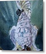 Boo The Umbrella Cockatoo Metal Print