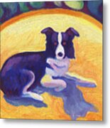 Border Collie Metal Print