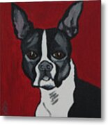 Boston Terrier Metal Print