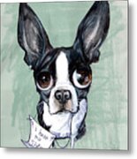 Boston Terrier - I Have No Shame Metal Print