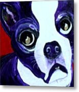 Boston Terrier- Lucy Metal Print