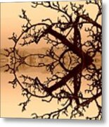 Branches In Suspension Metal Print