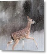 Braving Her First Snow - Whitetail Deer Fawn Art By Jai Johnson Metal Print