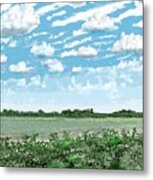 Brazoria County Field Metal Print