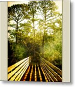 Bridge Shadows Metal Print