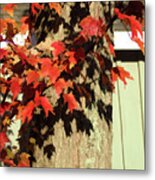 Bright Leaves, Deep Shadows Metal Print