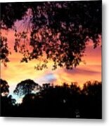 Bright Light In The Trees Metal Print