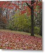 Bright Red Maple Tree Metal Print