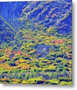 Brilliant Fall Colors Of Glenwood Springs Metal Print