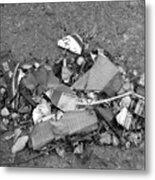 Broken Bottle Metal Print