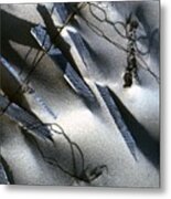 Broken Fences Metal Print