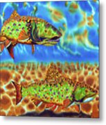 Brook Trout Metal Print