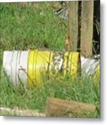 Buckets Metal Print