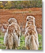 Buddies Metal Print