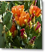 Buds N Blossoms Metal Print