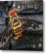 Bug With Red Eyes Metal Print