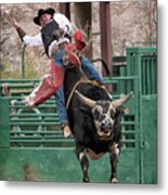 Bull Riding In Wickenburg Arizona Metal Print
