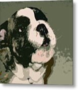 Bulldog Puppy Metal Print