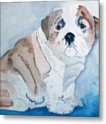 Bulldog Puppy Metal Print