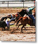 Bulldogging Metal Print