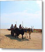 Bullock Cart Near Dhone, Andhra Pradesh, India Metal Print