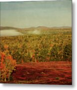 Burgundy Fields Metal Print