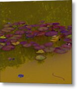 Burgundy Lily Pads, Copper Water Metal Print