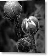 Burst Metal Print