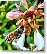 Busy As A Bee Metal Print