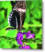 Butterfly 5 Metal Print