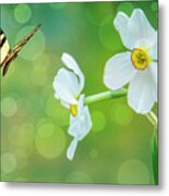 Butterfly And Flowers Metal Print