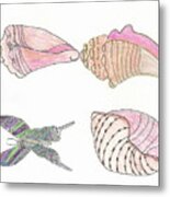 Butterfly And Seashells Metal Print