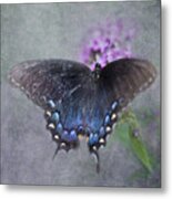 Butterfly Dance Metal Print